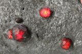 Plate of Three Red Embers Garnets in Graphite - Massachusetts #272723-2